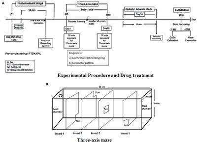 Embelin Prevents Seizure and Associated Cognitive Impairments in a Pentylenetetrazole-Induced Kindling Zebrafish Model